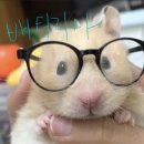 나랑노랑 이미지