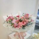 마리앙또꽃