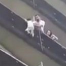 Hero rescuer to become French citizen 이미지