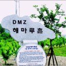 파주 DMZ해마루촌마을 [녹색농촌체험마을] 이미지