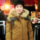 대도의류 이미지