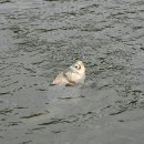 냉정 낚시터 이미지