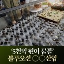 블루오션 이미지