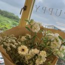 플레르퍼피 이미지