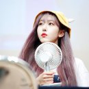퀸비 이미지