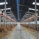 김춘식농장 이미지