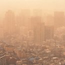 발효명가서초한의원 이미지