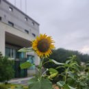 남해스포츠파크호텔 스탠다드더블룸 파크뷰 남해숙소후기 + 주차장, 내돈내산, 화장실
