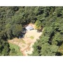 드림드림공인행정사사무소 이미지