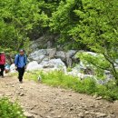 도전분교 이미지