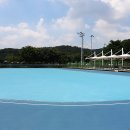 수성패밀리파크 Daum카페
