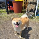 앤스테이 이미지