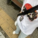 일단 써보고 느낀점을 제목으로 하자