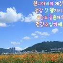 주님의기도 (청담동성당) 이미지