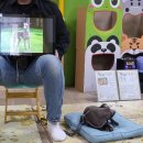 푸른꿈어린이집 놀이터 이미지