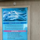 형제민물장어 | 진영 어만형제 민물장어구이 맛집 후기
