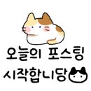 황금산 고양이 이미지