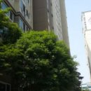 우경공인중개사사무소 이미지