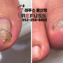 레푸스 울산점 이미지