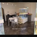 펫퍼스트24시 서울송파점 강아지고양이분양말티푸말티즈푸들 | 연계 동물병원이 있는 펫퍼스트24시 서울송파점 강아지고양이분양 말티푸말티즈푸들