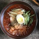 해바라기 애견 이미지