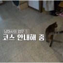 라라농장 이미지