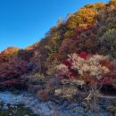 산내면 덕동마을 | 지리산 뱀사골 캠핑장 캠핑 체험 후기~^^