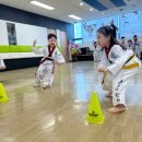 아주 소나무향기태권도 이미지