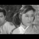 쌀(SSAL) 네이버블로그