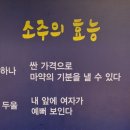 소주의 효능 이미지