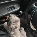 잇츠그루밍타임 이미지