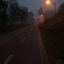 수월1세천 이미지