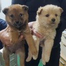 미사동로 이미지