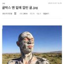 제일박스 이미지