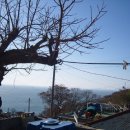 사철나무집민박 이미지