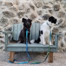 김녕을 그리다 이미지