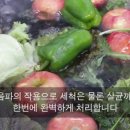 성진과일야채