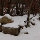 평창 태기산 캠핑장 펜션 이미지