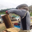 환의농장 이미지