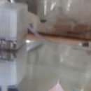 심술이네물방 | 왔어요!! 진주린이 왔어요!!