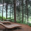 백운산자연휴양림 이미지