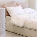 한빛나노멀티케어침대 | 나나 전참시 마사지기 정보와 지독한 자기관리 루틴 분석