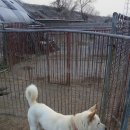 빛고을PC 이미지