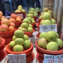 에이비에프지대백 | 먹는 거 고민하는 임신 중후기 기록(~30주) / 임신 식단