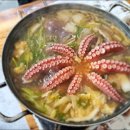 문어시대 이미지