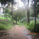 대성암 갈림길 이미지