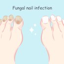 일월로22번길 이미지