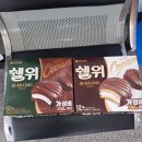 이시각 주요 도시형파이산 아닝 이미지