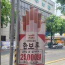 롤로코리아 - 칠곡군 | 롤로코리아