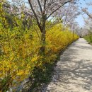 기세곡천 이미지